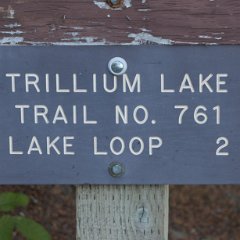 2023_TrilliamLake-Virgil-002