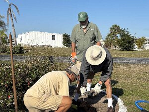 TLC Island Planting 03-13-2025