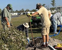 TLC_IslandPlanting-01