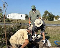 TLC_IslandPlanting-03