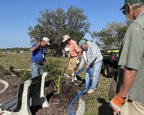 TLC_IslandPlanting-21