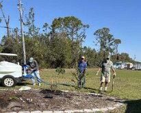 TLC_IslandPlanting-26