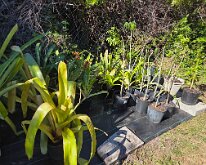 TLC_NurseryUpgrade-03