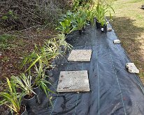 TLC_NurseryUpgrade-08