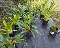 TLC_NurseryUpgrade-09