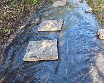 TLC_NurseryUpgrade-11