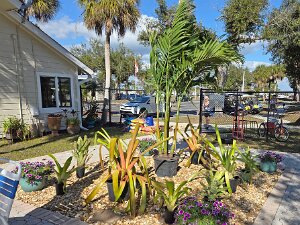 TLC Pool Upgrade 1/25/2025