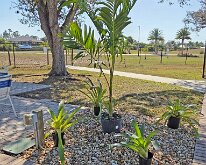 VHL_PoolUpgrade_Staging-2