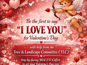 2026-02-11 TLC Valentine Day Promo