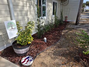 TLC Recreation Building Upgrade