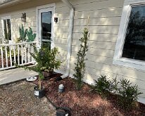 2026_TLC_RecBuilding_PLANTING-10 TLC Recreation Entrance Upgrade -- Doing Our Planting 10