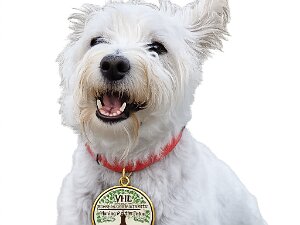 2026-02-28 VHL Front Entrance