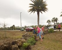 2026_TLC_Entrance_P1-03 The TLC team relocates those nasty Jamacian Agave....