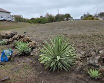 2026_TLC_Entrance_P1-22