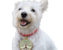 TLC_TeamMascot Lucy, our TLC Mascot Logo. Suitable for inclusion in photos, email, etc.