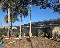 2026_TLC_OfficeUpgrade_BEFORE-1 Staging Plants & Identifying Those To Remove