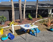 2026_TLC_OfficeUpgrade_D1-12 Water, Grapes & Cookies; And lots of plants still left.