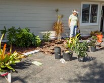 2026_TLC_OfficeUpgrade_D1-13 Ahh, still more things to plant!