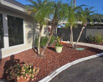 2026_TLC_OfficeUpgrade_STAGING-3 Staging Plants & Identifying Those To Remove