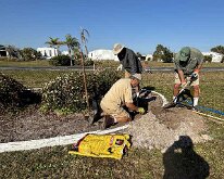 TLC_IslandPlanting-04