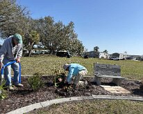 TLC_IslandPlanting-24