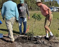 TLC_IslandPlanting-27