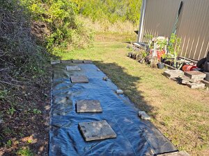 TLC Nursery Upgrade 01-09-2026