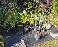 TLC_NurseryUpgrade-02