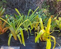 TLC_NurseryUpgrade-04