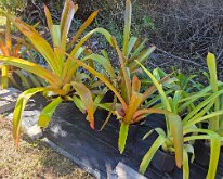 TLC_NurseryUpgrade-05