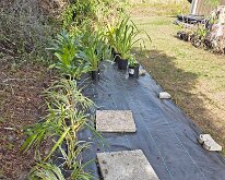 TLC_NurseryUpgrade-07