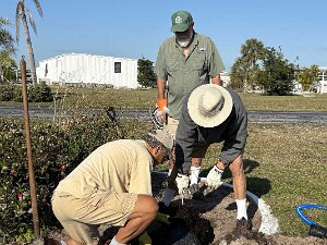 TLC Island Planting 03-13-2025