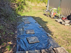 TLC Nursery Upgrade 01-09-2026