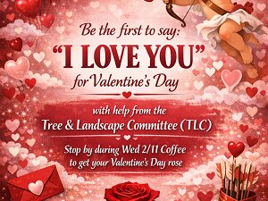 2026-02-11 TLC Valentine Day Promo