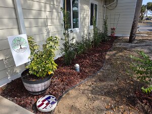TLC Recreation Building Upgrade The VHL TLC team upgrades the planting at the Recreation Building on 2/19/2-26.