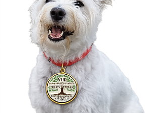 2026-02-28 VHL Front Entrance