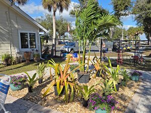 TLC Pool Upgrade 1/25/2025