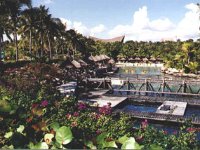 Lagoon