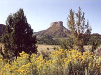 MesaVerde