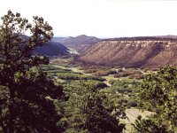 2000 - New Mexico