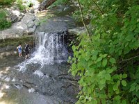 Falls