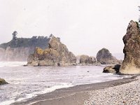 Coast - Sea Stack Ruby Beach