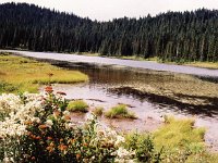 Rainier - Reflection Lake2