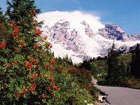 Rainier - Trail low
