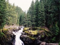 Rainier - xx River