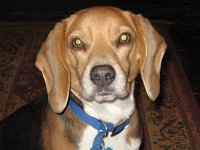 Skipper 11-23-06