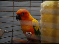 DSC 0104
