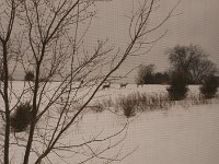 2008 - Eagle Ridge