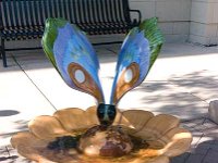 DSC 0154 0033