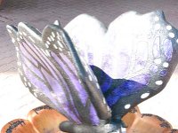 DSC 0156 0035